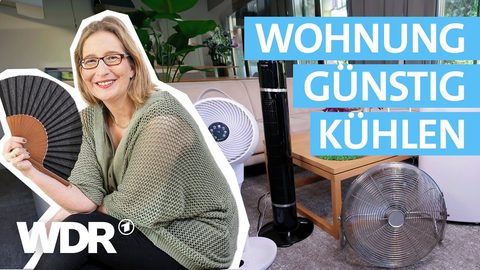 Raumkühler